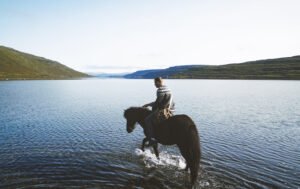 Handknitted – Icelandic wool sweaters from Reykjavik, made by local knitters