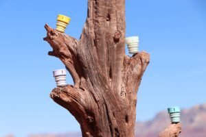 CuloClean Portable Bidets from Spain