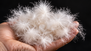 Understanding down insulation
